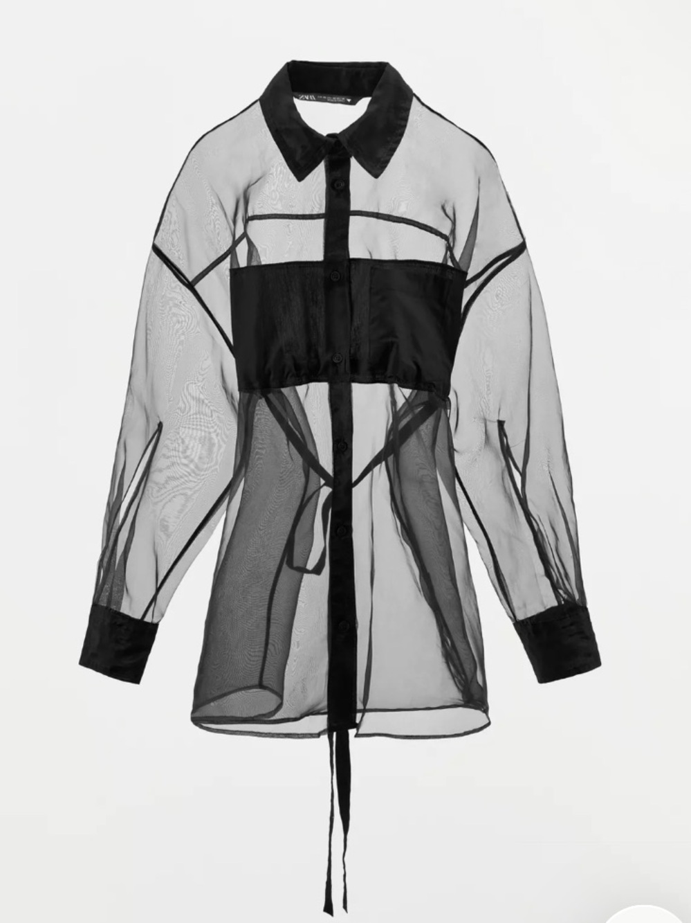 Zara Oversized Organza Shirt - Sheer Black Blouse